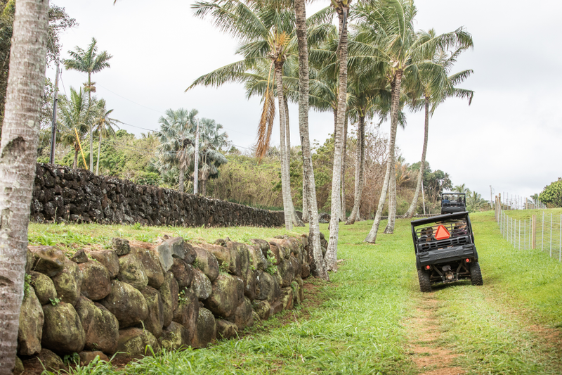 Driving on the inside of Zuckerberg’s lava rock wall.